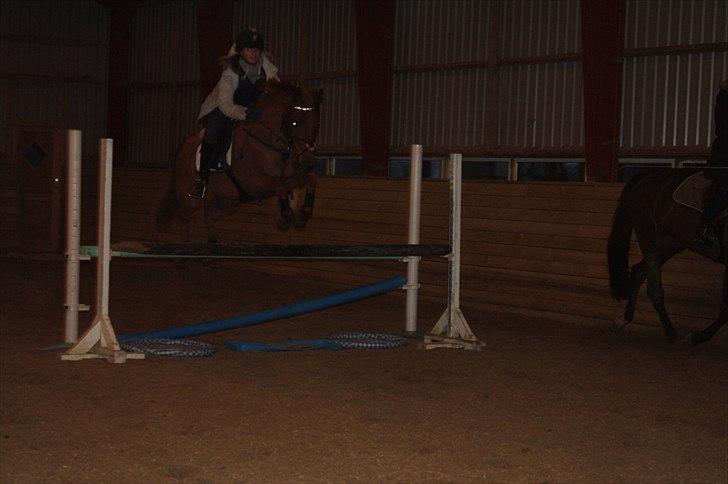 Lysthøjgård<3 billede 109