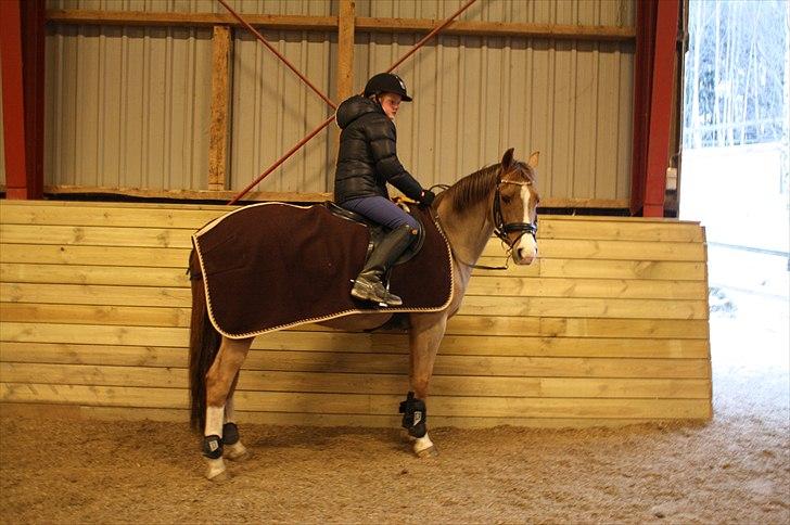 Lysthøjgård<3 billede 113