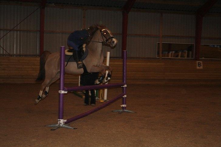 Lysthøjgård<3 billede 114