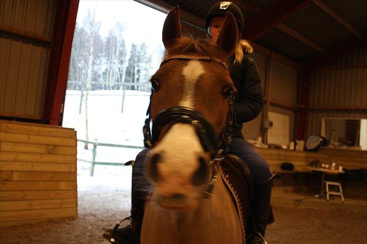 Lysthøjgård<3 billede 115