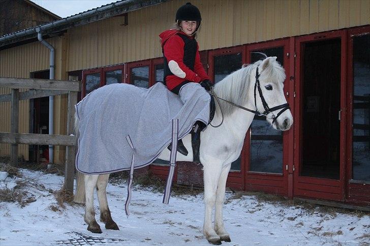 Lysthøjgård<3 billede 116