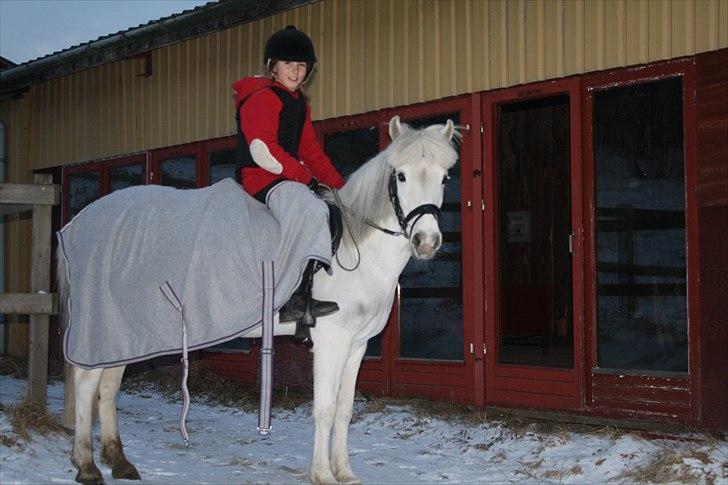 Lysthøjgård<3 billede 117