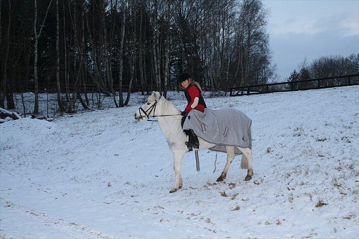 Lysthøjgård<3 billede 119