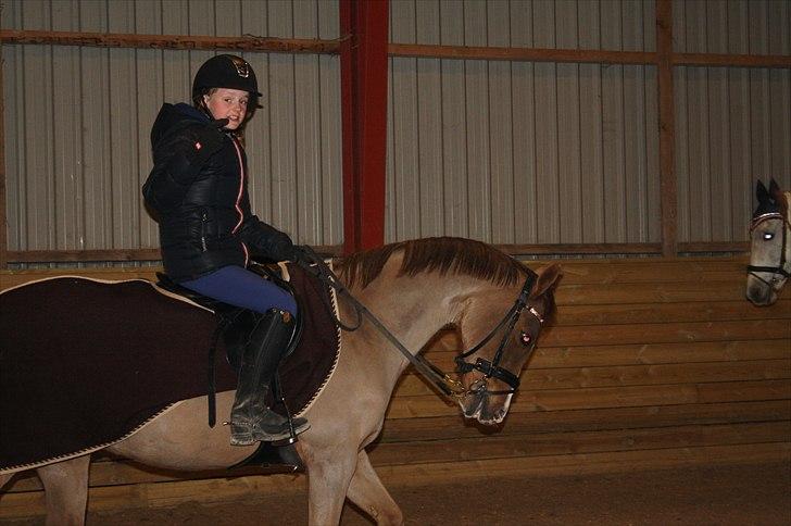 Lysthøjgård<3 billede 121