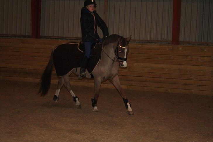 Lysthøjgård<3 billede 122