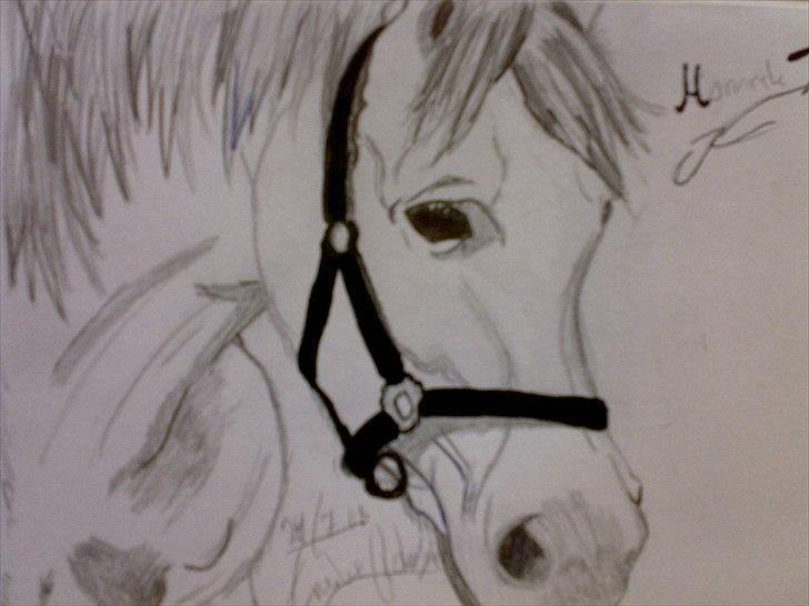 Seje ting!:D - En tegning af Momrik som jeg tegnede for 3 år siden<3
Copyright©emilie&momrik
 billede 26