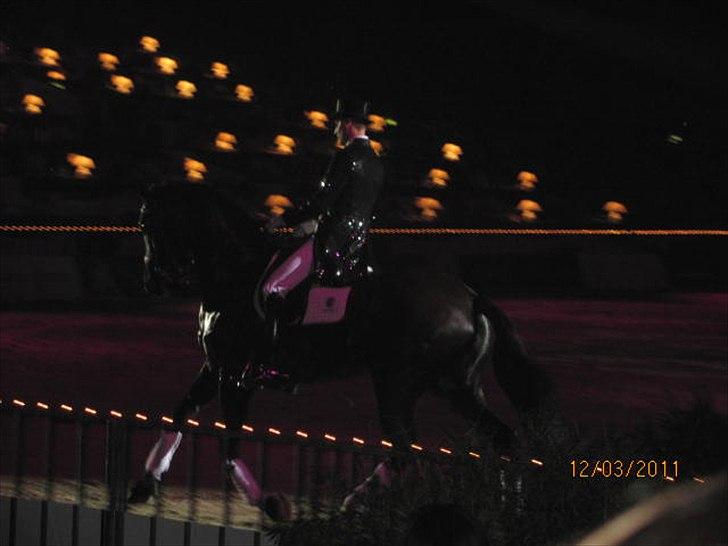 Gallashow Herning 2011 - Andreas Helgstrand billede 2