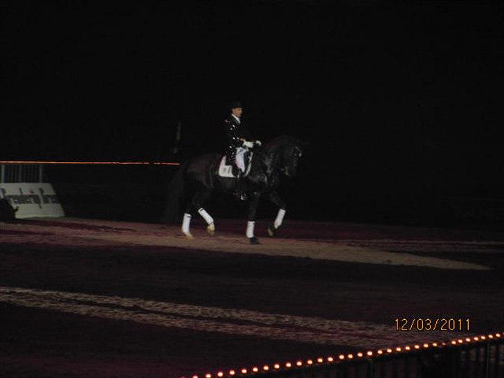 Gallashow Herning 2011 - Andreas Helgstrand billede 3