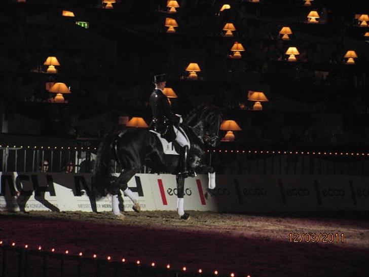Gallashow Herning 2011 - Andreas Helgstrand billede 4