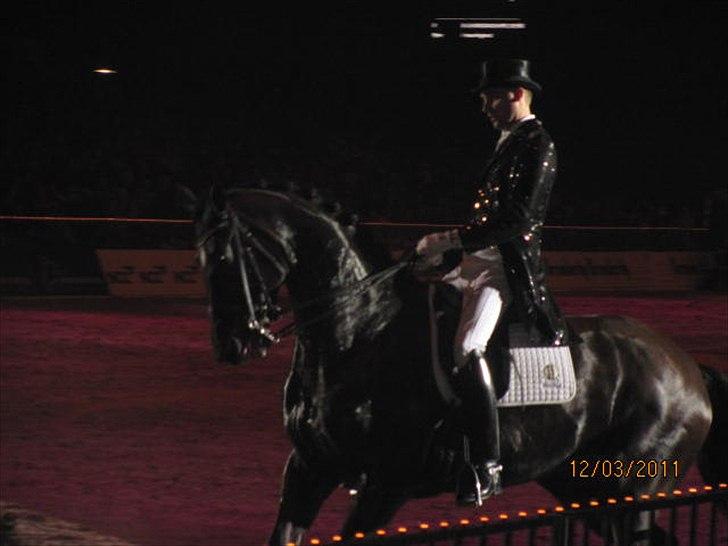 Gallashow Herning 2011 - Andreas Helgstrand billede 5