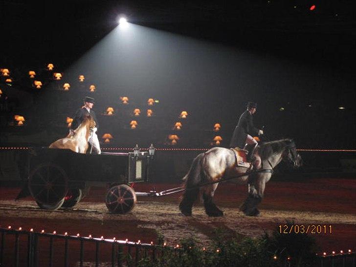 Gallashow Herning 2011 billede 7