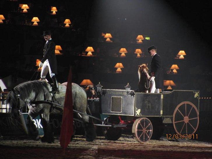 Gallashow Herning 2011 billede 8