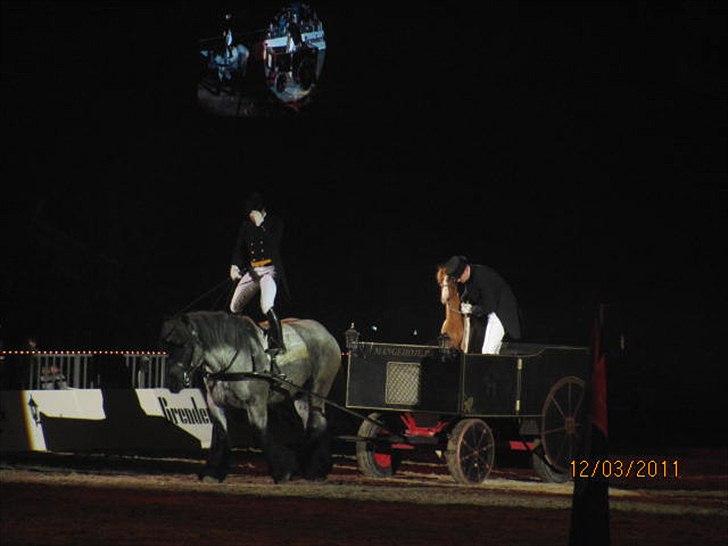 Gallashow Herning 2011 billede 9