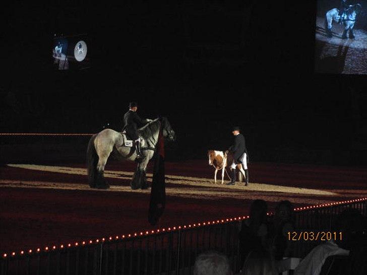 Gallashow Herning 2011 billede 12