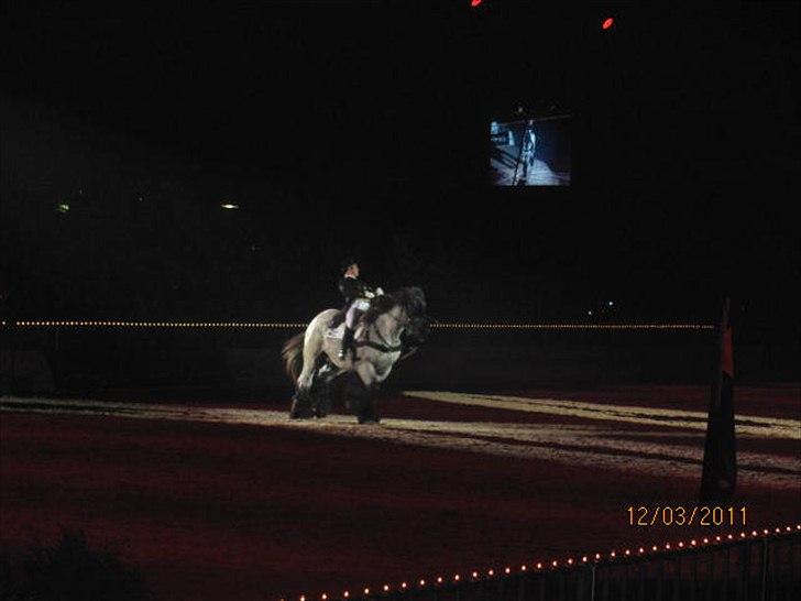 Gallashow Herning 2011 billede 13