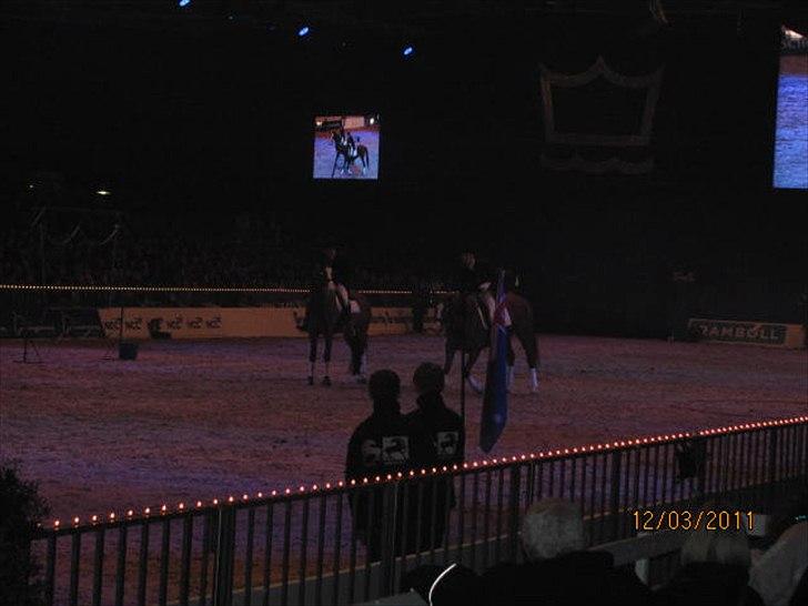 Gallashow Herning 2011 billede 15