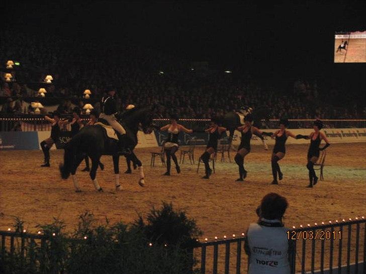 Gallashow Herning 2011 billede 16