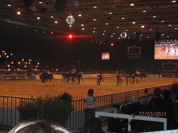 Gallashow Herning 2011 billede 17