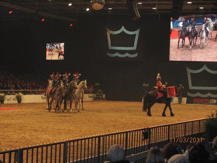 Gallashow Herning 2011 billede 20