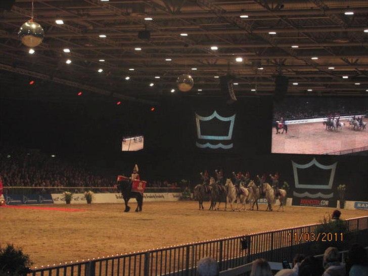 Gallashow Herning 2011 billede 21