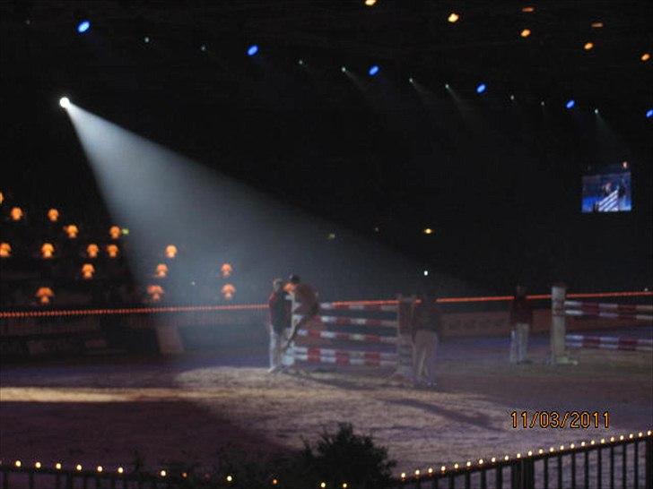 Gallashow Herning 2011 billede 22