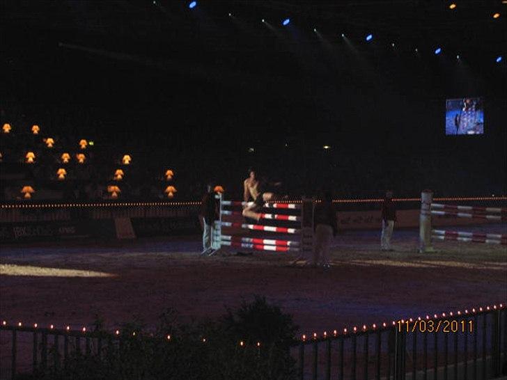 Gallashow Herning 2011 billede 23