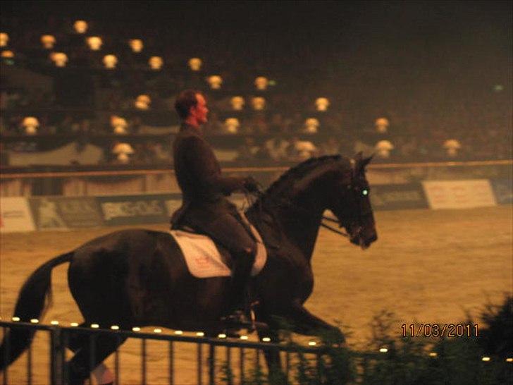 Gallashow Herning 2011 - Sune Hansen billede 25