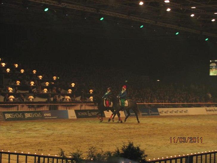 Gallashow Herning 2011 - Viasat nisserne! :D billede 27