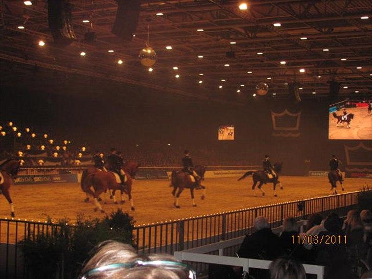 Gallashow Herning 2011 billede 28