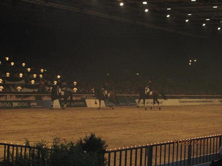 Gallashow Herning 2011 billede 29