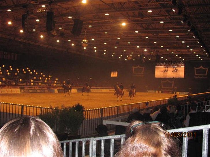 Gallashow Herning 2011 billede 30