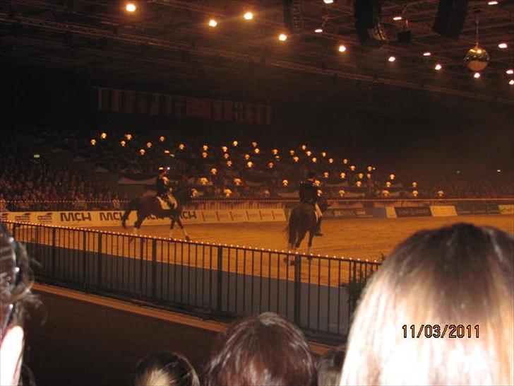 Gallashow Herning 2011 billede 31