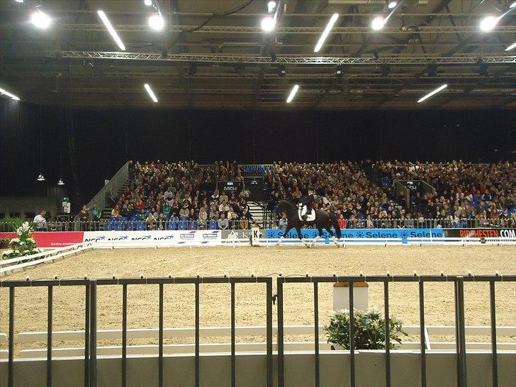 Hestemesse i Herning 2011 billede 6