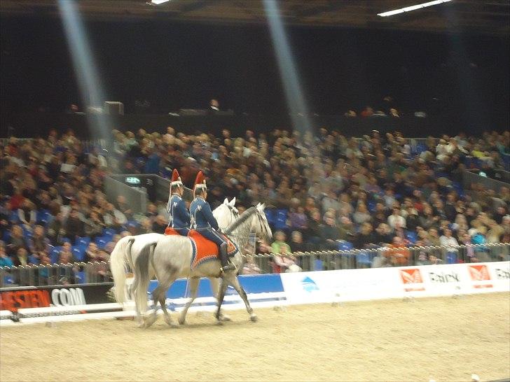 Hestemesse i Herning 2011 billede 9