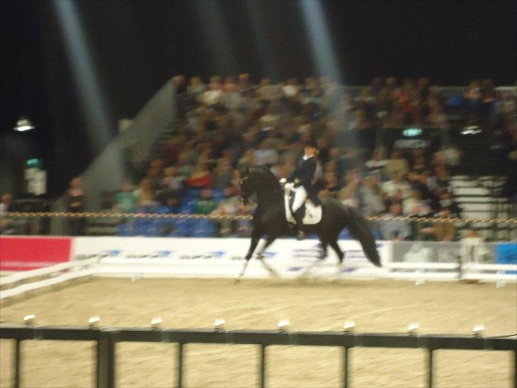 Hestemesse i Herning 2011 billede 10