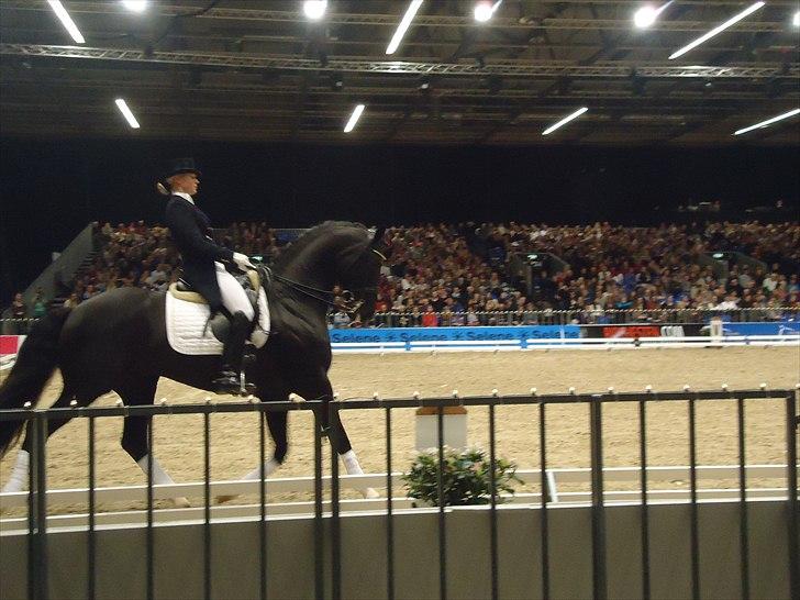 Hestemesse i Herning 2011 - Show billede 2