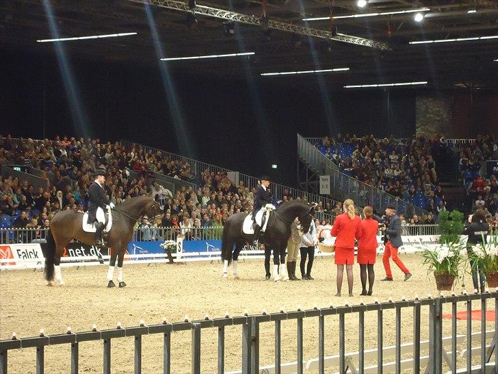 Hestemesse i Herning 2011 - Præmieoverækkelse billede 11