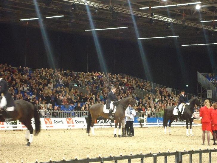 Hestemesse i Herning 2011 billede 12