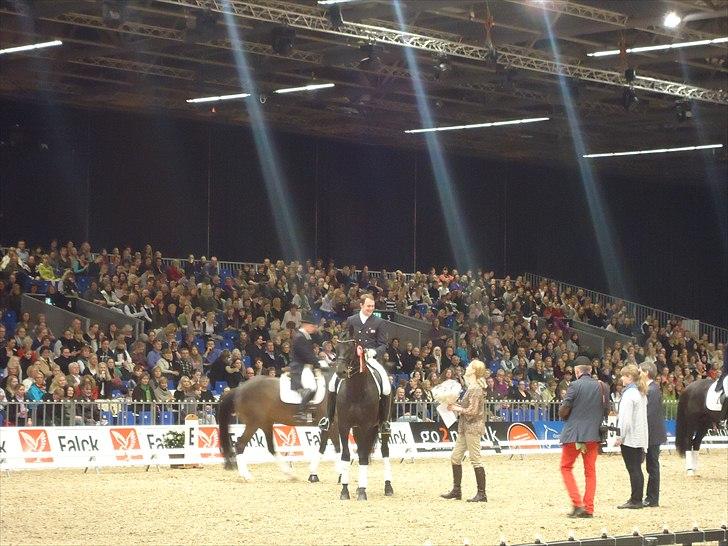 Hestemesse i Herning 2011 - 1. pladsen gik til Sune Hansen og Blue Horse Hotline billede 13