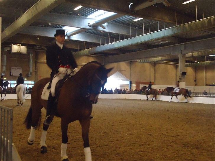 Hestemesse i Herning 2011 billede 1