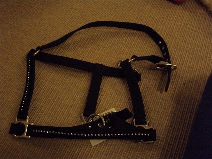 Rideudstyr fra herning billede 3