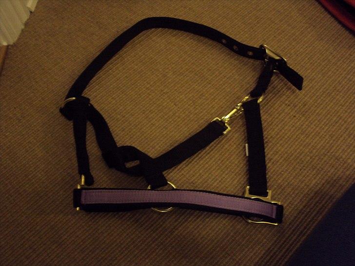 Rideudstyr fra herning billede 4