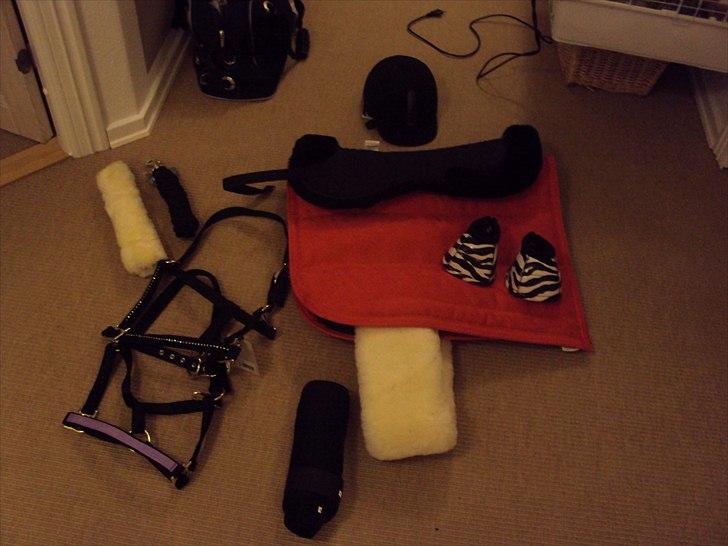 Rideudstyr fra herning billede 11