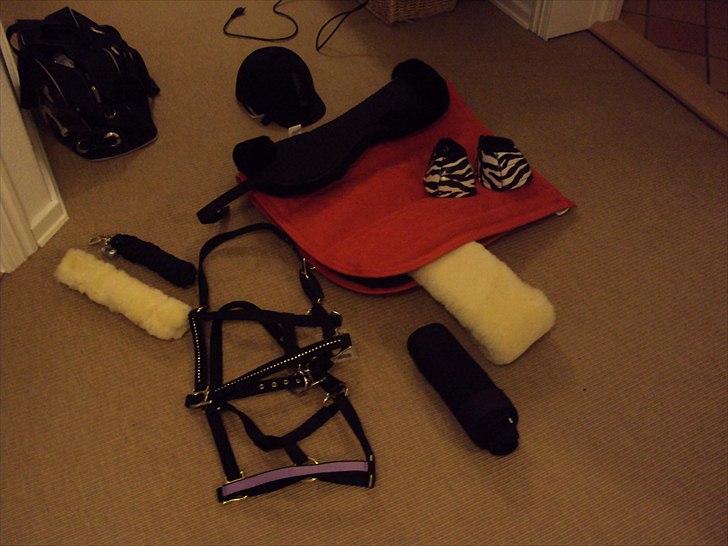 Rideudstyr fra herning billede 12