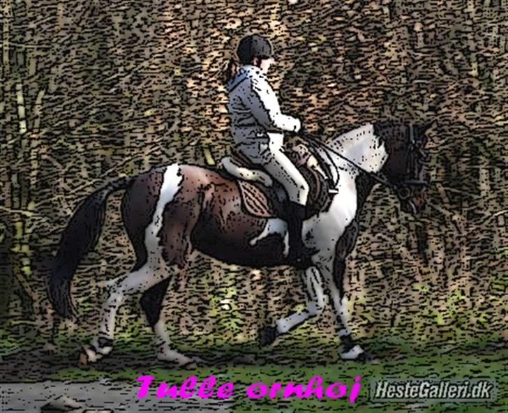 Tegnefilms figur til andre - Tulle ørnhøj billede 152