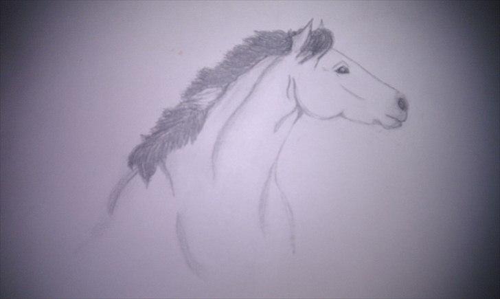 Seje ting!:D - Færdige resultat - Den er lidt pænere i virkeligheden(; <3
Copyright©emilie&momrik
 billede 27