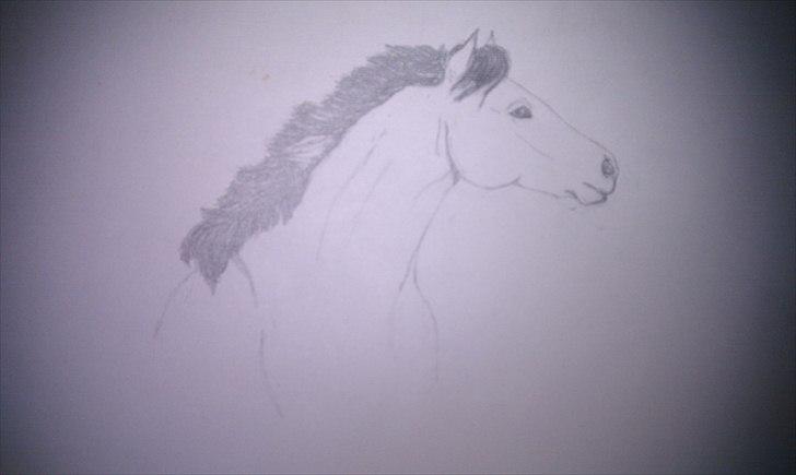 Seje ting!:D - Copyright©emilie&momrik
 billede 28