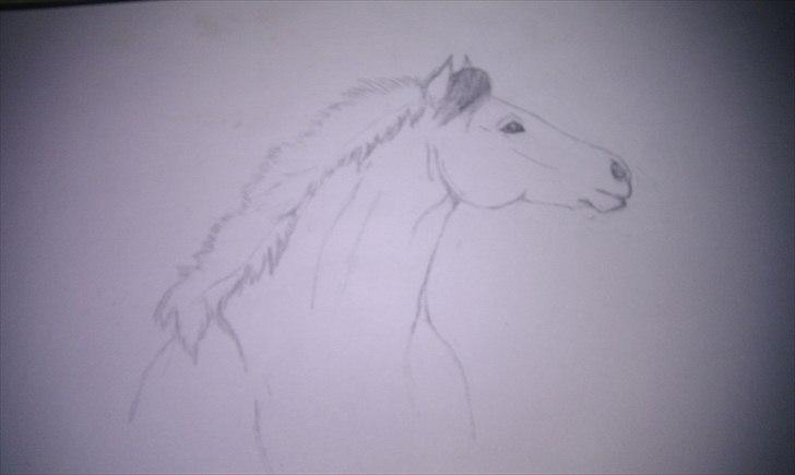 Seje ting!:D - Momrik tegning, tegnet 14 Marts 2011(: <3
Af migC;
Copyright©emilie&momrik
 billede 29