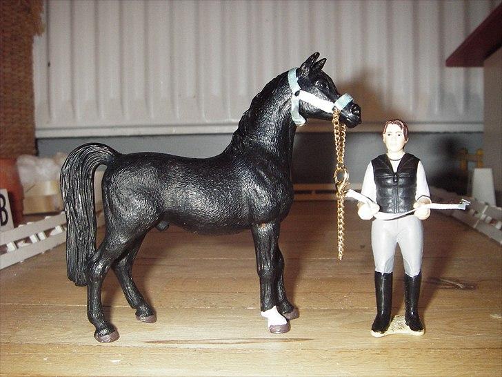 Rosengaarden's Schleich Heste - Navn: Rosengaarden's Black Swan, Køn: Hingst, Race: Araber, Mor: Black Lady, Far: My Stallion, Alder: 4½ år, Kommentar: Swan er en seuper smuk hingst. Han er igang med tilridningen men han har kapcilitet (staves?) til at blive noget meget stort inden for Millytary. Han er en meget kærlig hest og gode venner med de andre. billede 99