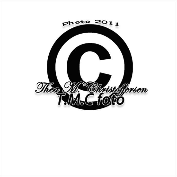 Nybegynder i Photoshop billede 6